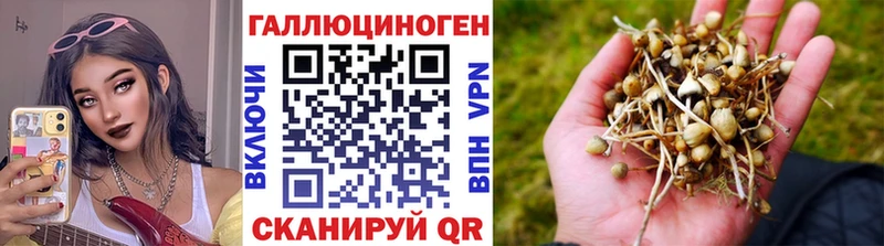 наркошоп Новоалтайск Псилоцибиновые грибы мухоморы